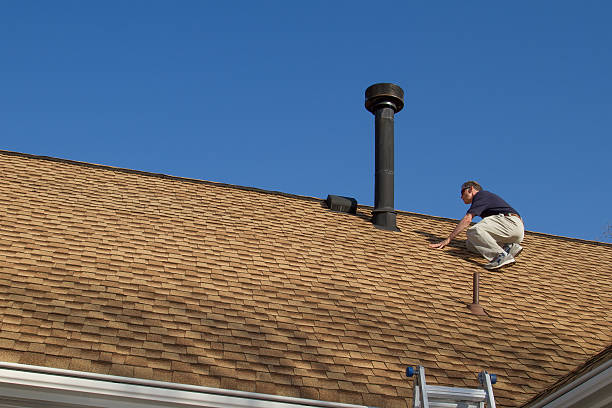 Best Roof Maintenance and Cleaning  in , AK