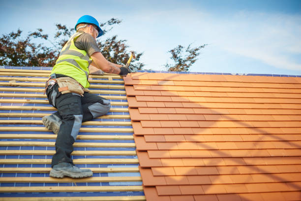 Best Rubber Roofing (EPDM, TPO)  in , AK